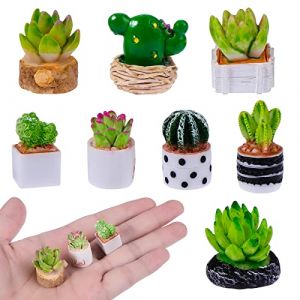 cobee Lot de 8 plantes artificielles miniatures pour maison de poup&eacute;e, mini plante en pot, mod&egrave;le de bonsa&iuml;, fausse succulente pour maison de poup&eacute;e 1:12 (Wanxiao, neuf)