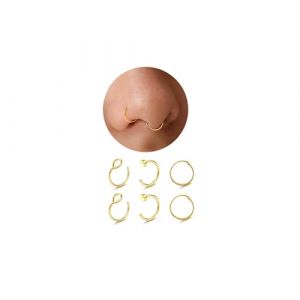 JOOTUEPO 6 Pi&egrave;ces Faux Piercing Nez Anneau de Nez L&egrave;vre Ring Set, 20G Anneau de Nez Dor&eacute; fin Anneau de Piercing Nez, Anneau Segment&eacute; Clicker en Acier Chirurgical, pour Nez/Septum/Oreille/H&eacute;lix ou (Jootuepo, neuf)