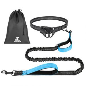 OFFCUP Main Libre Chien, &Eacute;lastique Laisse Canicross, Ceinture Canicross pour Chiens avec Couture R&eacute;fl&eacute;chissante, avec Sac de Rangement Id&eacute;al pour Course &agrave; Pied, Jogging et Marche (Bleu Clair) (HOOCHE, neuf)