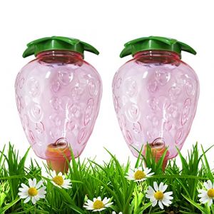 2 Pi&egrave;ces Cone Arrosage Bouteille 500ML, Bille Argile Plante Interieur, Syst&egrave;mes D'irrigation Automatique pour Planter Pot, Distributeur Eau Plantes Arroser Vacances Transparent Boules (Fraise) (hongenerlu, neuf)