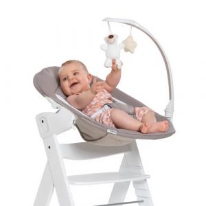 Hauck Transat Bebe Alpha Bouncer Deluxe Compatible Chaise Haute Bébé Alpha+ et Beta+, 2en1 Également Balancelle, de la Naissance à 9 kg, Arche d'Éveil, Réducteur d'Assise, Sand Beige (babyartikel-de, neuf)