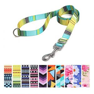 Suredoo Laisse pour Chien, Motif Tendance avec 2 Anneaux en D, Résistant et Nylon Laisse de Dressage pour Chien pour Petits, Moyens et Grands Chiens, 120x2cm (Jaune) (OMyGoods EU, neuf)