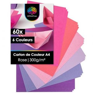 OfficeTree 60x Feuille Rose A4 300g - 6 Couleurs - Feuille de Couleur Cartonn&eacute; A4 - Papier Rose pour Bricolage Scrapbooking & Impression - Papier Cartonn&eacute; Couleur - Carton a Dessin - Papier Couleur (ILP GmbH, neuf)