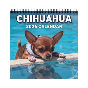 Calendrier Mural 2026, Planificateur Mensuel Sur Le Th&egrave;me Du Chien, Planificateur Mural 2026 Sur Le Th&egrave;me Du Chien, Organiseur Mensuel &Agrave; Suspendre, Tableau Des Dates Avec Illustration De Chiot Mignon, (cangjunw, neuf)