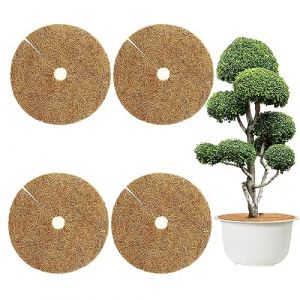 4 Pièces 60cm Tapis de Coco, Tapis de Coco Protection, Tapis Coco Plantes, Disque de Paillage, pour Plantes en Pot, Protéger Les Racines des Plantes en Pot du Gel (NRGready Direct, neuf)