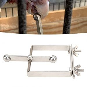 Jouet pour Perroquet D'Oiseau, Spinner Perroquet Entra&icirc;nement &Agrave; La Mastication Et Am&eacute;lioration De L'Intelligence en Acier Inoxydable (Aeuyweu, neuf)