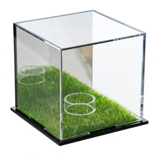Tagtight Vitrine de balle de golf, vitrine carr&eacute;e pour balle de golf, bo&icirc;te &agrave; souvenir, housse de rangement avec miroir en acrylique pour baseball, balle de golf, objets de collection (taiyuandongyuanjin, neuf)