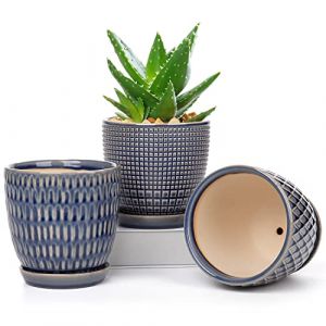 10cm Ensemble de 3 Pots de Plantes en Céramique Petits Pots de Fleurs Ronds avec Trou de Drainage et Soucoupe pour Cactus Succulent, pour Intérieur Extérieur Jardin Maison Rebord de Fenêtre (Oairse-eu, neuf)
