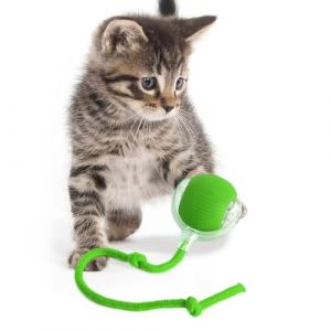 KQLHLHDYZ Jouet interactif pour chat - Balle intelligente pour chat avec d&eacute;tecteur de mouvement (Wenzhouchenchenshangmaoyouxiangongsi, neuf)