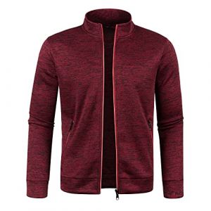 Sweat Homme sans Capuche Couleur Unie Sweat Zippé Homme Col Montant Veste Homme Sweatshirt Homme Cardigan Homme Hiver Sportswear Manteau Blouson Homme Mi Saison Pull Col Roulé Demi-Fermeture Éclair (yangmingmingamz, neuf)