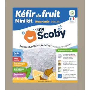 KIT kéfir de fruit BIO - Grains inclus, réutilisables et contrôlés - Pratique - Tout inclus - Notice complète illustrée (Mini kit) (Orisae, neuf)