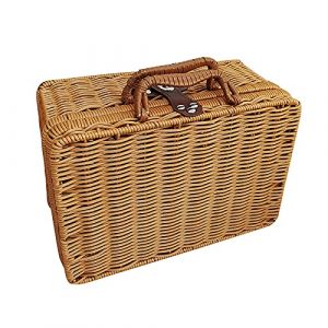 Valise Rétro en Plastique en Osier, Boîte à Valise en Rotin avec Serrure à Sangle en Cuir, Boîte de Rangement pour Panier de Pique-Nique en Osier, Panier de Rangement en Rotin (A2) (XUZHANGLIN, neuf)