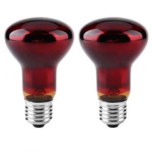 POFET Lot de 2 Ampoules chauffantes pour Reptiles Lampe Infrarouge Durable Lumi&egrave;re Rouge pour Animaux domestiques Reptiles et Amphibiens l&eacute;zards Tortue araign&eacute;es Serpents cam&eacute;l&eacute;ons 220-240V (100W) (POFET EU, neuf)