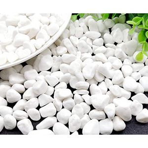 Azatemgo Gravier Aquarium Naturels Gravier Blanc Gravier pour Jardin Pierres Blanches D&eacute;coration Plante Blanc 900g Gravier Tortue (Yidaboom, neuf)