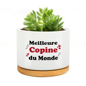 RRIGETEN Cadeau Copine Noel,id&eacute;e Cadeau Copine Pot De Fleur,Cadeau Mignon pour Sa Copine,Cadeau Couple,Cadeau pour Sa Copine,Cadeau Copine Amiti&eacute;,Anniversaire Noel Saint Valentin (Longhani, neuf)