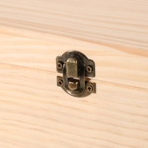 NUOBESTY Coffret en Bois de Pin 40 Compartiments pour Huiles Essentielles Bo&icirc;te de Rangement Aromath&eacute;rapie Compacte et Fonctionnelle Support Organis&eacute; pour Maison et Spa (Camplos, neuf)