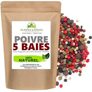 Poivre en Grain 5 Baies 100% naturel - Mélange Poivre Moulin 5 Baies - Sachet Fraîcheur Biodégradable Refermable (100G) (PLANTES & EPICES, neuf)