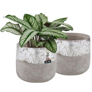 KOTARBAU® 2 x Pot De Fleurs Gris ⌀ 11,5 cm|Pot en Céramique Non-Émaillée pour Fleurs Et Herbes|Cache-Fleurs en Céramique Non-Émaillée|Cache Fleurs en Céramique|Pot De Fleurs en Céramique Naturelle (KOTARBAU, neuf)