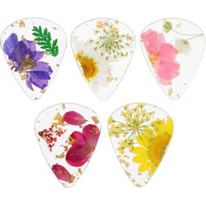 Sunjiyan Lot de 5 m&eacute;diators de guitare en r&eacute;sine &agrave; fleurs s&eacute;ch&eacute;es - Fabriqu&eacute;s &agrave; la main - Color&eacute;s - Pour basse, guitare &eacute;lectrique, acoustique, ukul&eacute;l&eacute;, triangle classique (yuzhikuajinggongsi, neuf)