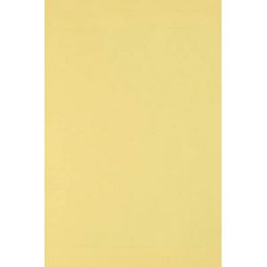 Netuno 20x carton jaune clair 250g papier d&eacute;coratif A4 210x297mm Burano Giallo id&eacute;al pour cartes de voeux scrapbooking bricolage invitations art et artisanat anniversaire DIY loisirs cr&eacute;atifs (netuno, neuf)