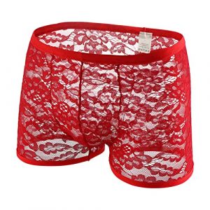 G&eacute;n&eacute;rique Culotte Sexy Dentelle pour Homme Sexy Cale&ccedil;On en Maille Shorts Taille Basse Lingerie Culotte Sexy en pour Homme Respirant Culotte &eacute;Rotique pour Homme Pantalons &agrave; Cornes Plates pour Hommes (NINIMALINA, neuf)