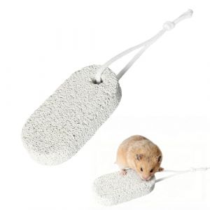 6 Pi&egrave;ces Pierre &agrave; Ronger Min&eacute;rale Jouet Lapin Hamster Perroquet Cochon d'inde Des Jouets &agrave; M&acirc;cher Adapt&eacute;s aux Dents des Rongeurs pour Lapin Hamster Petits Rongeurs Chinchilla Cochon d'Inde Perroquet (Raretong, neuf)