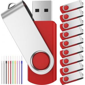 4 Go Cle USB Lot de 10 Disque Flash USB - Clef USB 4Go 10 Pièce Rotatif Disque Flash USB Pendrives - Rouge Clé USB 2.0 Mémoire Stick avec Cordes by FEBNISCTE (COMING ON, neuf)