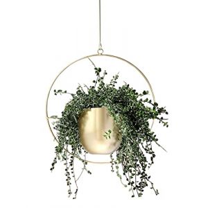 Anawakia Pot de fleurs suspendu en m&eacute;tal - Pot de fleurs suspendu d&eacute;coratif en m&eacute;tal - Pot de fleurs suspendu de plafond - Cache-pot suspendu en m&eacute;tal (Rond dor&eacute;) (Anawakia, neuf)