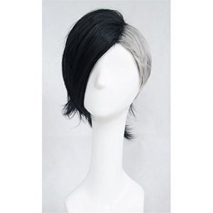 LanTing Cosplay Perücke Tokyo Ghoul Uta Perücke Corta gray black mix Cosplay Party Fashion Anime Human Costume Full wigs Synthetic Haar Heat Resistant Fiber (LANTING TRADE EXPORT LTD, neuf)