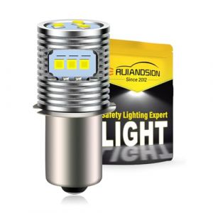 Ruiandsion Mise &agrave; niveau Ampoule LED P13.5S ampoule de base 6-24V haute puissance CSP 9SMD Jeu de puces pour lampe de poche Lampe de poche Kit de conversion LED Ampoule (Pack de 1) (Ruiandsion, neuf)