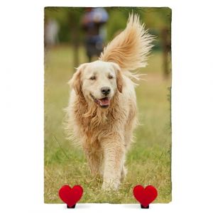 AMAZING Plaque Commémorative Personnalisée avec Photo Et Texte Ardoise en Forme De Coeur pour Chien Chat avec Présentoir en Forme De Coeur - Vertical - Taille 30x20 cm (PrintAmazing, neuf)