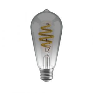Hombli Ampoule Intelligente | Lumière Blanc Chaud Dimmable E27, 1800-6500K CCT | Filament 5.5W, ST64 60 Lumen | Commande Vocale avec Fonction App, Compatible avec Google & Alexa (Hombli, neuf)