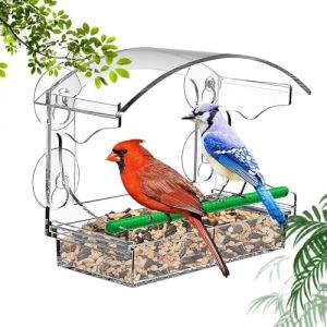 Casenly Mangeoire &agrave; Oiseaux pour Fen&ecirc;tres, Grande Window Bird Feeder 25x18x9.5 cm, Mangeoires &agrave; Fen&ecirc;tre Acrylique Transparent Mangeoire Oiseaux Exterieur Fenetre avec 4 Ventouses pour Oiseaux Sauvages (GUANGWENZHI, neuf)