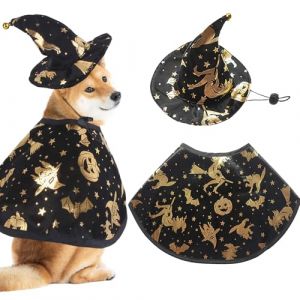 GWAWG Costume d'halloween pour Chien et Chat Costumes d'halloween pour Animaux de Compagnie Costume pour Chats et Chiens de Petite Cape avec Chapeau de Sorcier Chien Chat V&ecirc;tements (GWAWG, neuf)