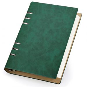 Yarotm Carnet &agrave; Anneaux A5 - Carnet de Notes Lign&eacute; 14x21cm - Rechargeable Cahier Cuir PU - 100GSM Lign&eacute; Spirale Notebook A5 Reliure - 150 Feuilles Bloc Note Carnet Dessin Voyage, Vert (Droking, neuf)
