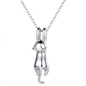 EAVUYIS Collier Chat Argent 925, Collier en argent sterling, Pendentif en forme de croissant de lune et chat, Collier Femmes Bijoux pour Les Femmes Filles, Lune Pendentif Collier Bijoux pour Femmes (LI ZHONGCHEN OUZHOUDIAN, neuf)
