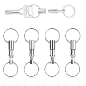 DIFLAX 4 Pièces Mousqueton Porte-Clés, Organisateur de Clés Pivotant, Titane Schnellverschluss Porte-Clé, Pour Outdoor Voiture et Usage Quotidien (Argent) (SVF TUNDER PRICE, neuf)