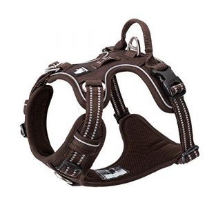 TRUE LOVE Harnais pour Chien No Pull Nylon Souple Réfléchissant Réglable pour Petit Grand Animal Domestique TLH56512(XL, Marron) (Truelove Pet Garment and Shoes Co.Ltd., neuf)