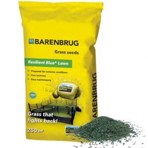 Barenbrug Semences de gazon 5kg jusqu'&agrave; 250m2 - Resilient Blue Lawn - Herbe qui combat - Arme votre pelouse contre les conditions m&eacute;t&eacute;orologiques extr&ecirc;mes - R&eacute;cup&eacute;ration rapide - Haute tol&eacute;rance aux (Hermie Home & Garden, neuf)