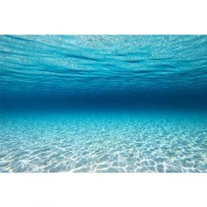 MIRRORANG 180x61cm thème sous-Marin Fond d'aquarium Bleu océan Monde sous-Marin Fond de réservoir de Poissons arrière-Plans d'aquarium Toile de Fond (MIRRORANG Shop EU, neuf)