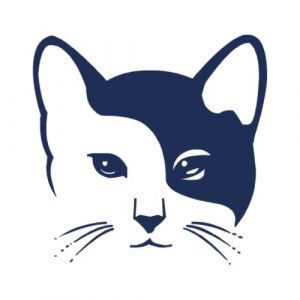Tattwo.me – Tatouage temporaire pour adultes et enfants, dure 2 semaines, résistant à l'eau – tête de chat – Encre végétale - certificat cosmétique UE – (P0626) (Tattwo me, neuf)