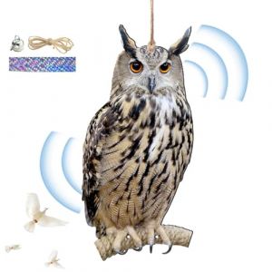 Faux Hibou Leurre Pour Effrayer Les Oiseaux, Effaroucheur Pigeons, Carton Hibou Anti Pigeons, Effaroucheur Oiseaux, Hiboux Leurres Pour Effrayer Les Oiseaux, Faux Hibou Pour Fermes, Vergers, Jardins (Moonlapt, neuf)