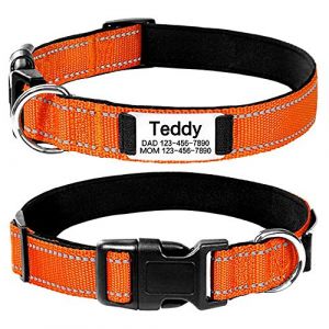 Collier personnalis&eacute; pour chien, plaque d'identification r&eacute;fl&eacute;chissante grav&eacute;e pour animal domestique, collier d'identification r&eacute;glable en nylon r&eacute;sistant pour chiens de petite, moyenne et grande (Zhongheshang, neuf)