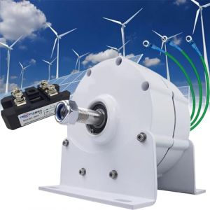 Alternateurs de Générateur de Générateur 12000W 12V 24V 48V 120V 220V 3 Phases Animment Permanent sans Engrenage RPM Faible pour le Moteur Diesel À Turbine À Eau Éolienne (avec Base),220V (QIAOLANSHOP, neuf)