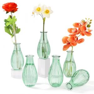 Otauoaea Lot de 6 Petits Vases en Verre, 220ML Mini Vases en Verre Vintage Mini Vase Deko Set Différentes Tailles Vase de Fleurs,pour Décorations de Table Moderne Centres de Table,Vert (Versatile official, neuf)