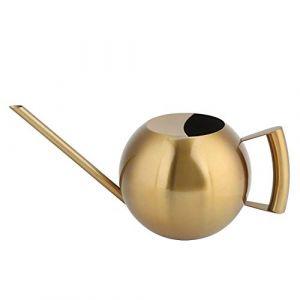 Arrosoir &agrave; Long Bec, 33 oz/1L &agrave; Long Bec en Acier Inoxydable arrosage ext&eacute;rieur arrosage Pot d'arrosage Plante d'int&eacute;rieur pour Jardin Fleurs Plantes Outil de Fleur(Gold) (Jenngaoo, neuf)