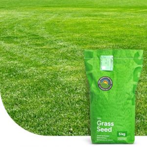 Fast Repair: Semence Gazon Regarnissage | 1 kg pour 50 m² | Germination rapide | Gazon dense et bien vert | pour pelouses et terrains de sport (MRS Seeds & Mixtures, neuf)