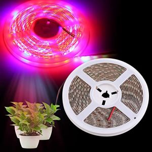Bandes lumineuses LED pour culture de plantes, barre de lampes de culture solaire &agrave; spectre complet, adh&eacute;sif &eacute;tanche 12 V 16,4 m pour plantes d'int&eacute;rieur, semis, plantes grasses, hydroponique (Yuensajut, neuf)