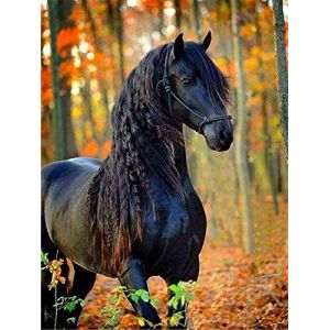 Bimkole Accessoires de peinture diamant pour chevaux, images 5D DIY Animaux Kit de peinture diamant Animal Plein rond Foret Peinture Peinture Broderie Point de croix Décoration diamant (30 x 40 cm) (Bimkole FR, neuf)