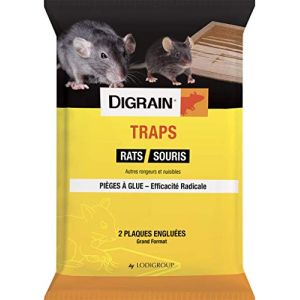 DIGRAIN Piège à Rat Piège à Souris Piege Attrape Souris Plaque Collante Piège à Glue Colle Puissante et Efficace - Produit Anti Rongeur Efficace sans Risque Produit Professionnel Anti Souris Anti Rat (AC 2000, neuf)